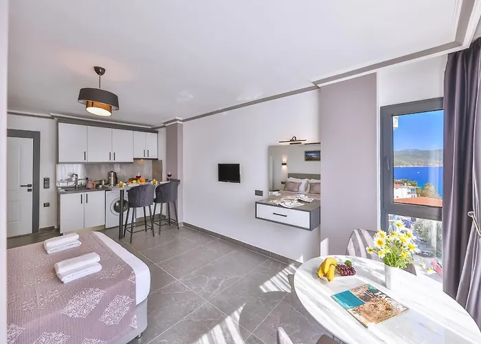 White House Guest house 3*