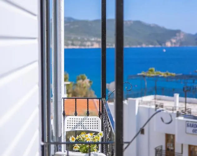 White House Guest house 3*