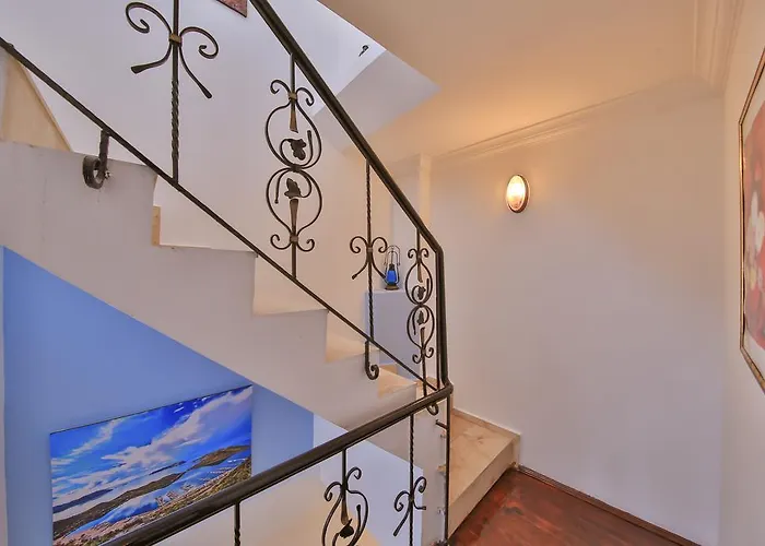 White House Guest house 3*