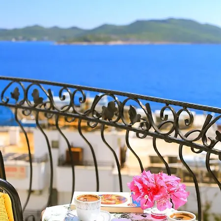 White House Konukevi