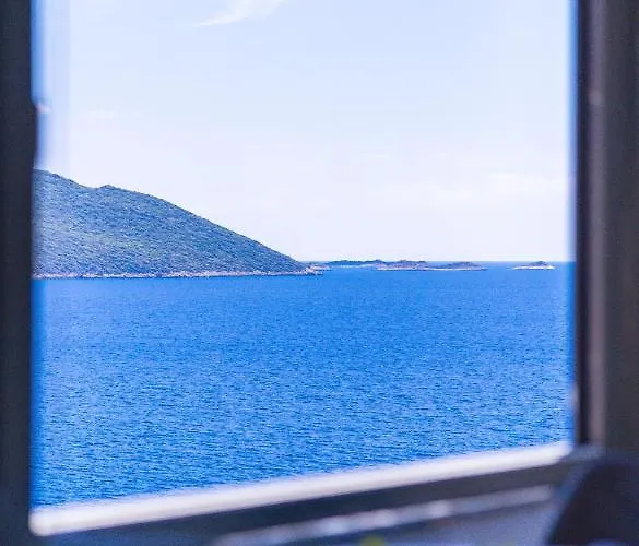 Vendégház White House