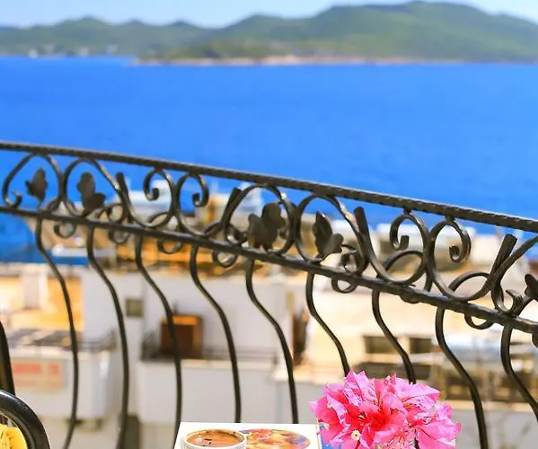 White House Vendégház